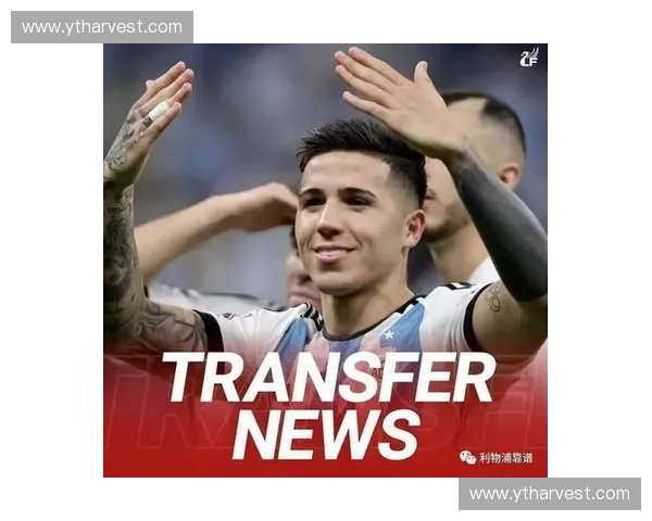新帅阿隆索或推动罗杰斯转会,以顶替可能离队的恩佐·费尔南德斯 新帅阿隆索或推动罗杰斯转会,以顶替可能离队的恩佐·费尔南德斯